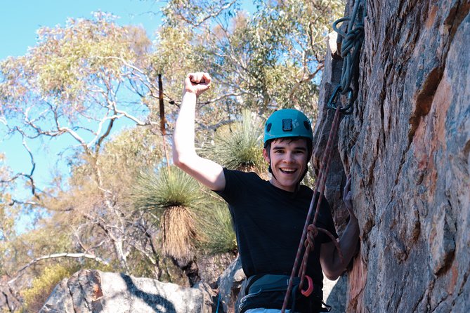 Rock Climbing and Abseiling in Adelaide - The views and koalas part is not a gimmick