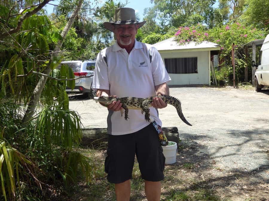 Rockhampton: Koorana Crocodile Farm Guided Tour - Final verdict: should you book Koorana Crocodile Farm guided tour?