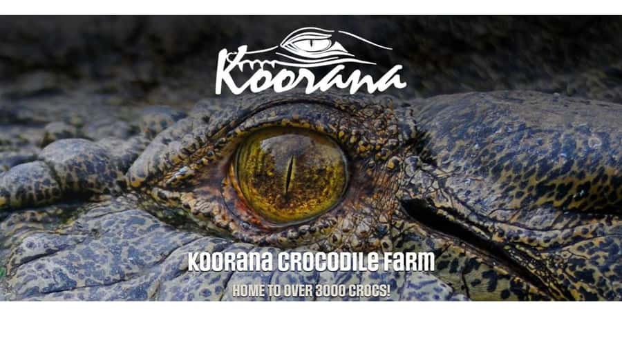 Rockhampton: Koorana Crocodile Farm Guided Tour - The intro talk and croc behavior video: how the tour sets expectations