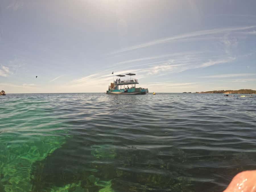 Rockingham: 3 Island Wildlife Snorkeling Cruise with Lunch - Lunch onboard: grazing platters that keep you fueled