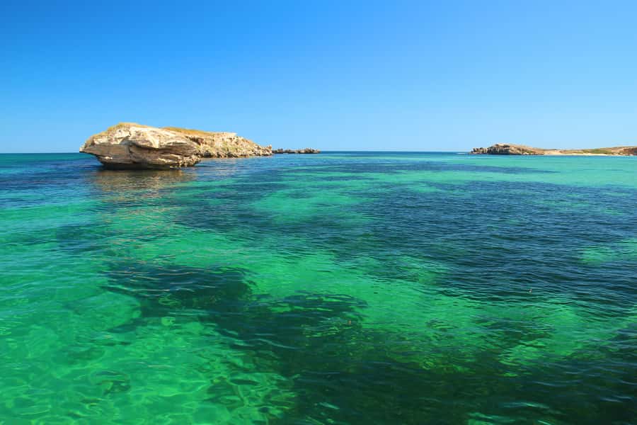 Rockingham: 3 Island Wildlife Snorkeling Cruise with Lunch - What to bring, what you get, and how to avoid a soggy mistake
