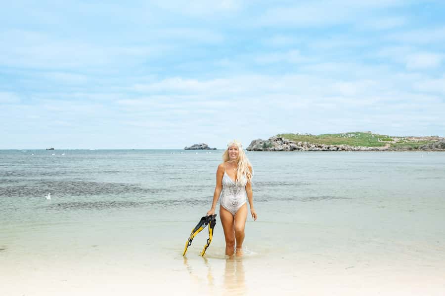 Rockingham: Shoalwater Islands, Dolphins, and Sea Lions Tour - On the Water: How the Glass-Bottom Boat Changes What You Can See