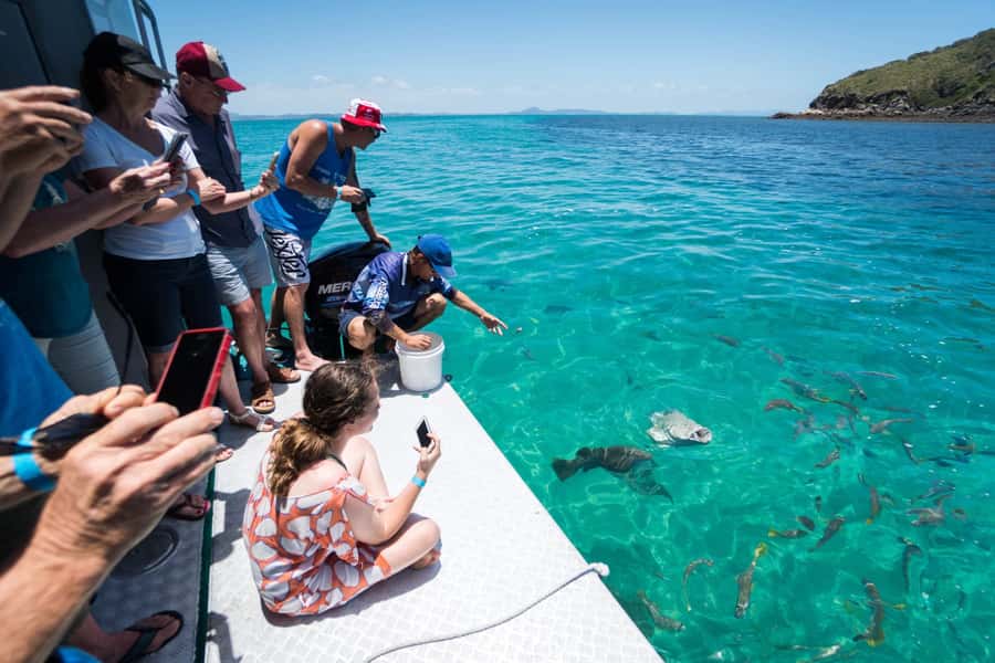 Rosslyn: Great Keppel Island Glass Bottom Boat Tour - Great Keppel Island from Yeppoon, the simple route to reef views