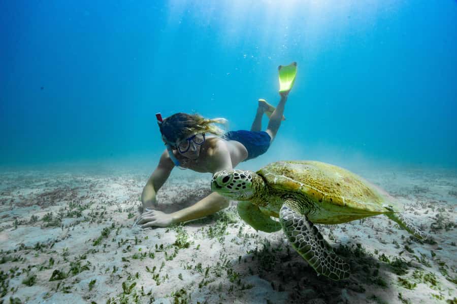 Rosslyn: Great Keppel Island Glass Bottom Boat Tour - Snorkelling and swimming from shore, how to make it easy