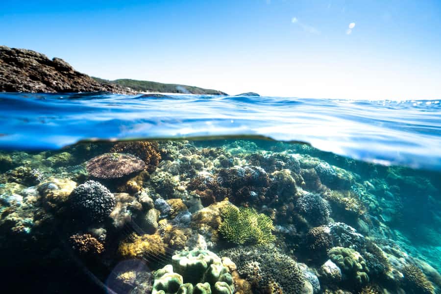 Rosslyn: Great Keppel Island Glass Bottom Boat Tour - What to pack for a barefoot island day