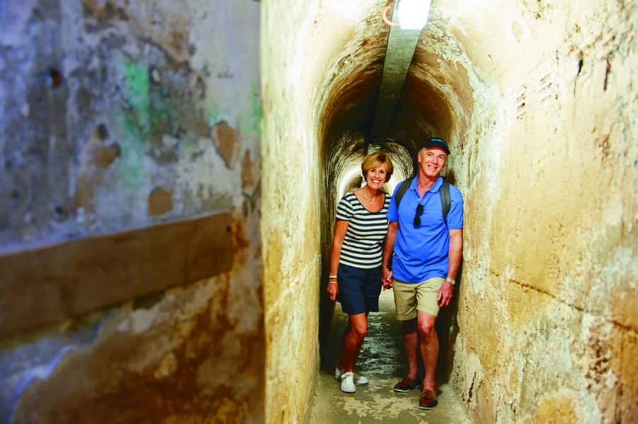 Rottnest Grand Island Package with Ferry, Tour & Light Lunch - Key things I’d make sure you notice