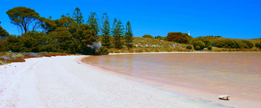 Rottnest Grand Island Package with Ferry, Tour & Light Lunch - Getting to the Rottnest station meeting point without losing time