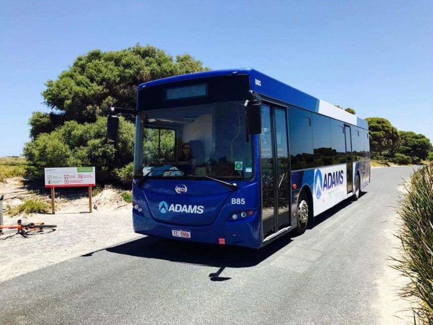 Rottnest Grand Island Package with Ferry, Tour & Light Lunch - The short train ride to Oliver Hill: quick, scenic, and sometimes swapped