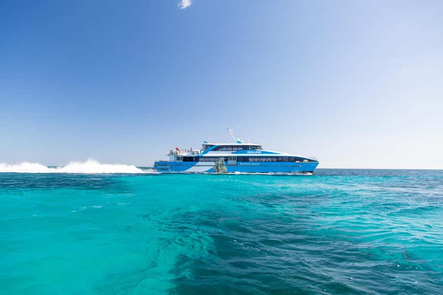 Rottnest Grand Island Package with Ferry, Tour & Light Lunch - The 4-hour grand island coach tour: lookouts, beaches, and salt lakes