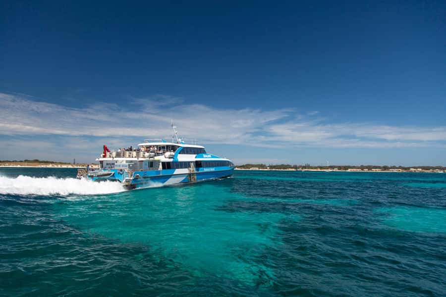 Rottnest Grand Island Package with Ferry, Tour & Light Lunch - Comfort and small annoyances: how to set yourself up for a smooth day