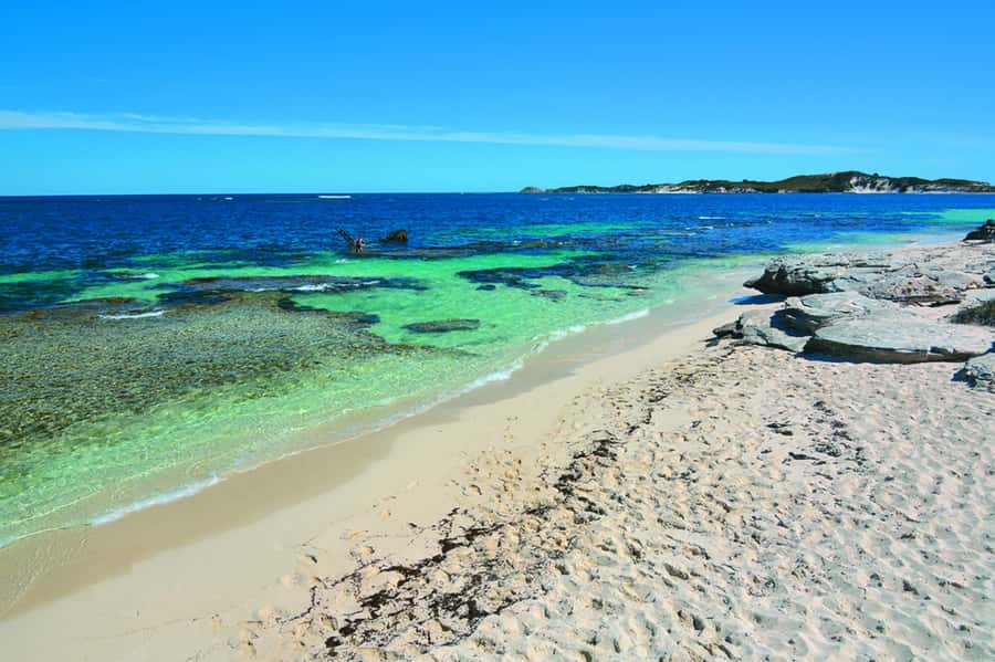 Rottnest Grand Island Package with Ferry, Tour & Light Lunch - Price and value: what you’re really paying for at $138