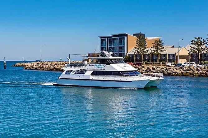 Rottnest Island Boat Dive Day Trip including Lunch - Getting To Rottnest: Fremantle Makes It Easy