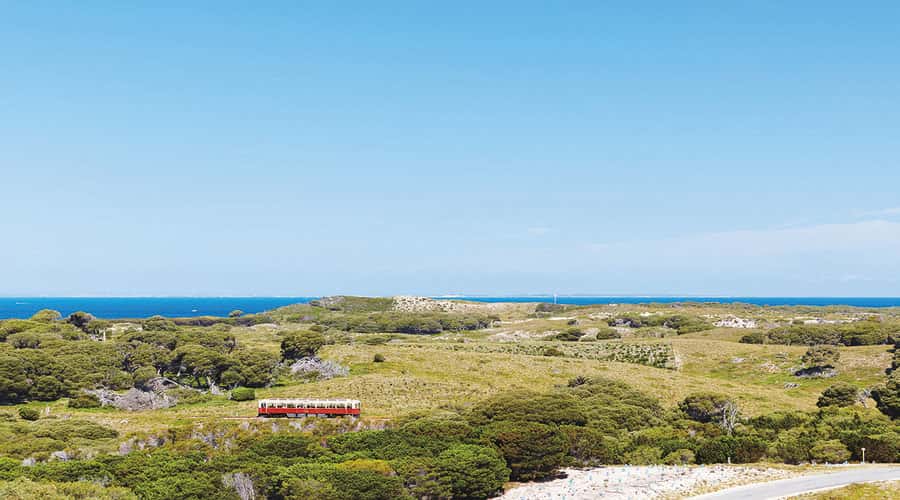 Rottnest Island: Grand Bus and Train Tour with Lunch - Jeannies Lookout: the quick stop that changes your perspective