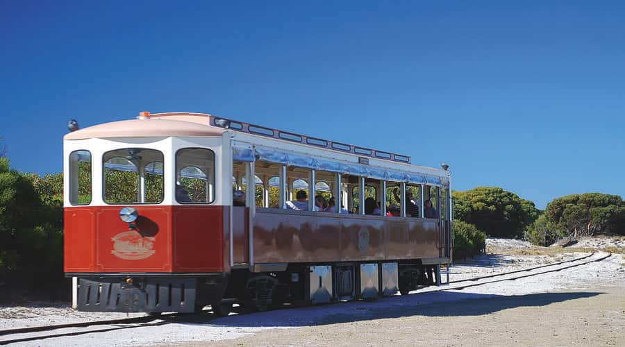 Rottnest Island: Grand Bus and Train Tour with Lunch - Why quokkas and salt lakes work so well together