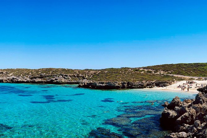Rottnest Island Roundtrip Fast Ferry from Hillarys Boat Harbour - Wadjemup Lighthouse and Viewpoints: Worth Your Time