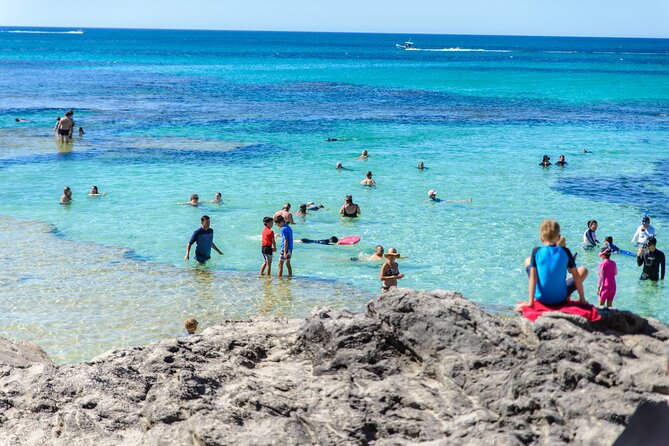 Rottnest Island Roundtrip Fast Ferry from Hillarys Boat Harbour - Picking Your Departure: Making a One-Day Plan That Works