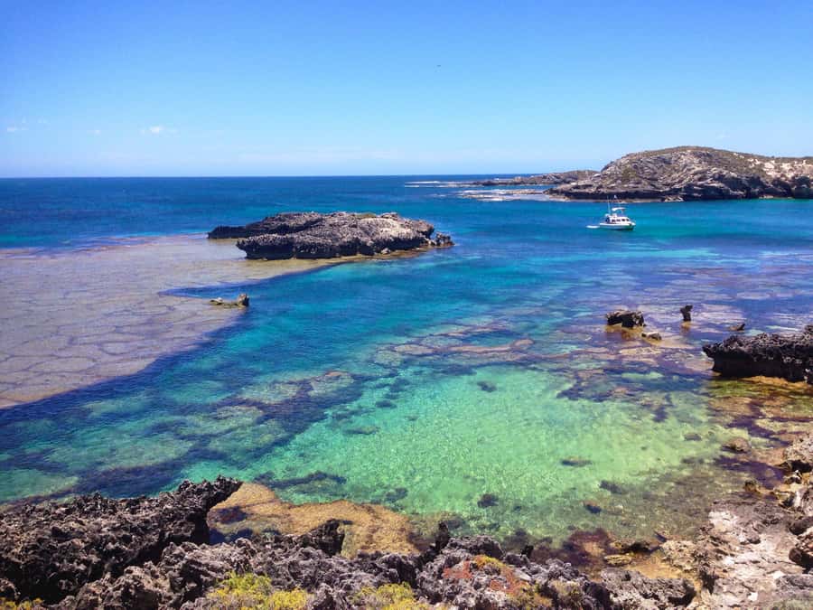 Rottnest Island Segway 1-Hour Settlement Tour - Bickley Bay White Sands and the Bathurst Lighthouse View