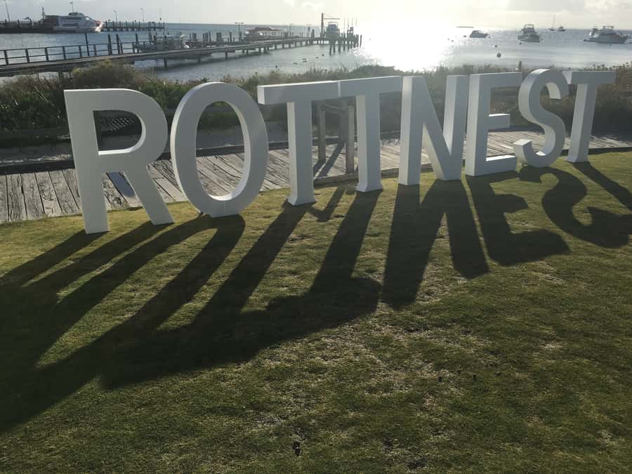 Rottnest Island Segway 1-Hour Settlement Tour - Quokkas and Native Wildlife Time Without the Hustle
