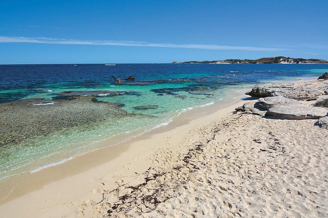 Rottnest Island: Tandem Skydive - Safety basics, eligibility checks, and what the team does well