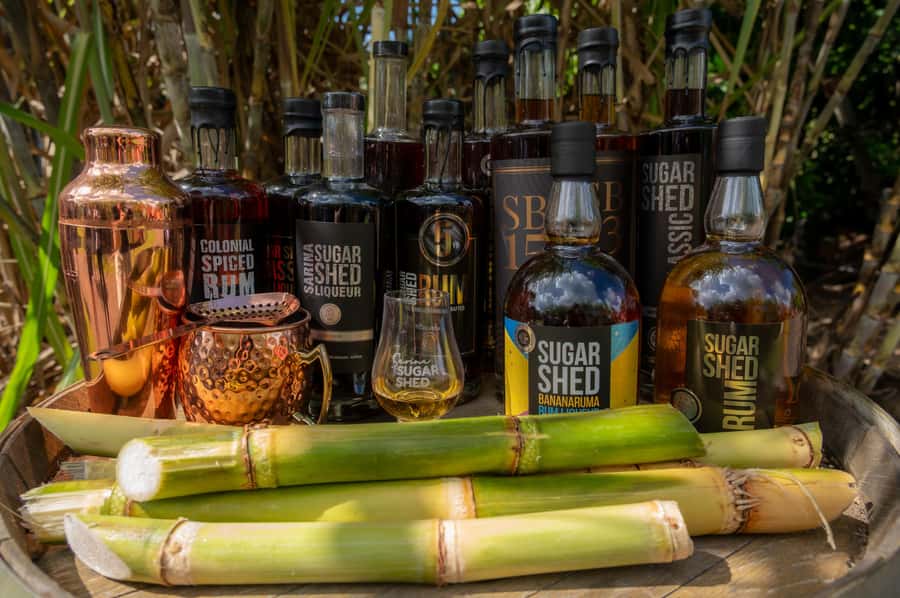 Sarina: Rum Distillery Guided Tour and Tasting 30 mins - Who This Rum Distillery Tour Is Best For