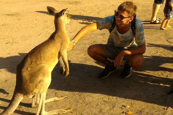 Scooter Wildlife & Sunset Tour - Kangaroos and birds: what the wildlife part feels like