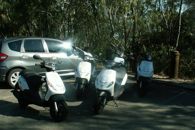 Scooter Wildlife & Sunset Tour - Price at $70.46: is it worth it for a scooter sunset?