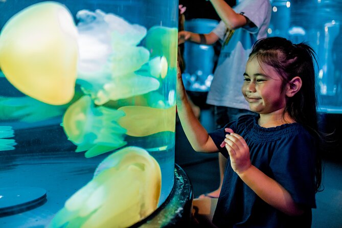SEA LIFE Sydney Aquarium Entrance Ticket - What You Really See in 1.5 Hours: Themed Zones and Big Exhibits
