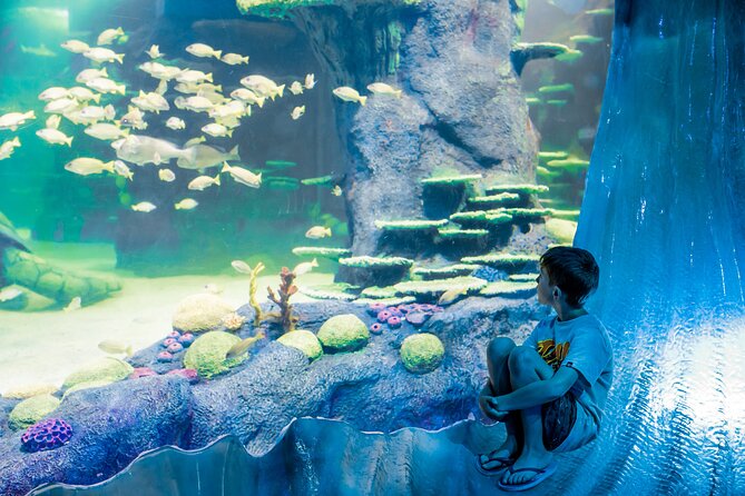 SEA LIFE Sydney Aquarium Entrance Ticket - Value at $31.56: Ticket Includes Entry and a Digital Photo Pass