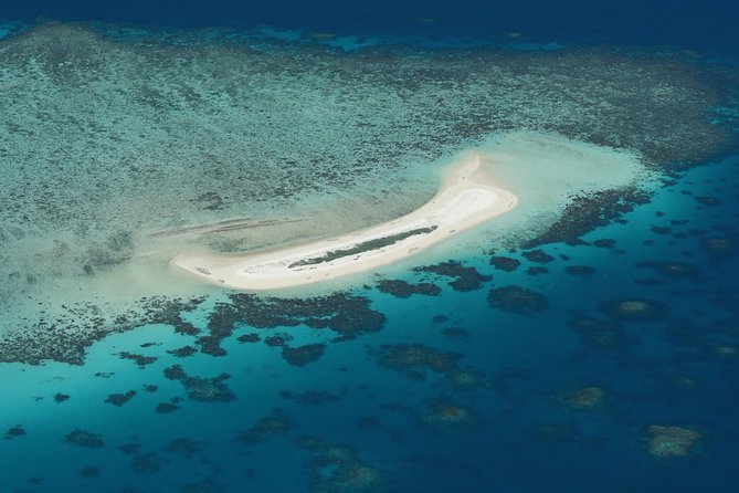 Seastar Luxury Outer Great Barrier Reef Island and Reef Tour - Key points before you go on Seastar