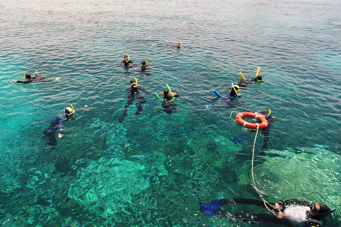 Seastar Luxury Outer Great Barrier Reef Island and Reef Tour - Michaelmas Cay: glass-bottom views plus guided snorkel time