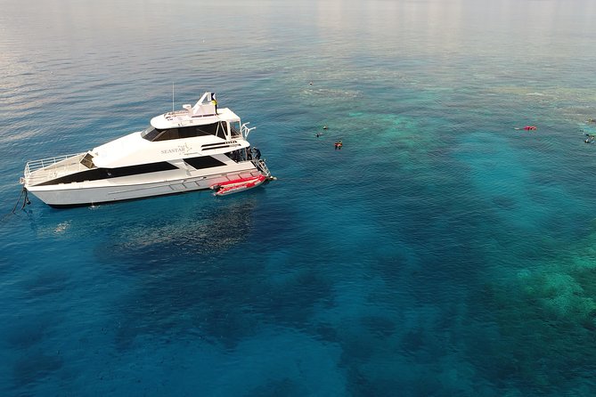 Seastar Luxury Outer Great Barrier Reef Island and Reef Tour - Snorkeling gear, stinger suits, and how the crew keeps you moving