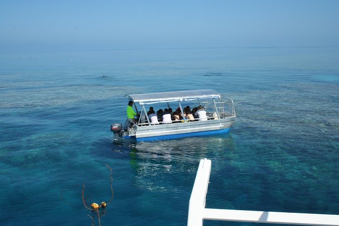 Seastar Luxury Outer Great Barrier Reef Island and Reef Tour - Meals onboard: lunch buffet and tea breaks that actually help