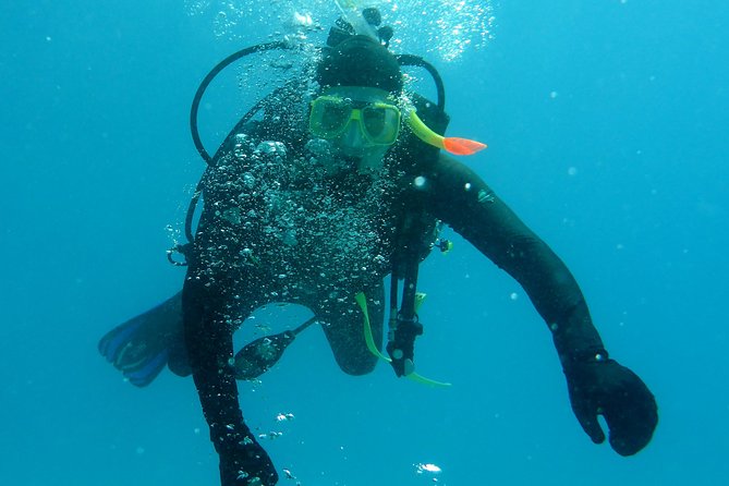 Seastar Luxury Outer Great Barrier Reef Island and Reef Tour - Boat feel, space, and seasickness reality checks