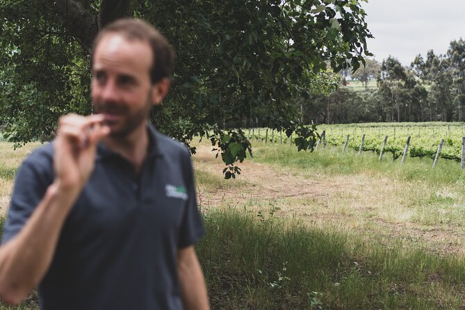 Secret Delights: Curated Wine, Coffee & Forest Experience - Brown Hill Estate: a winery stop that actually teaches