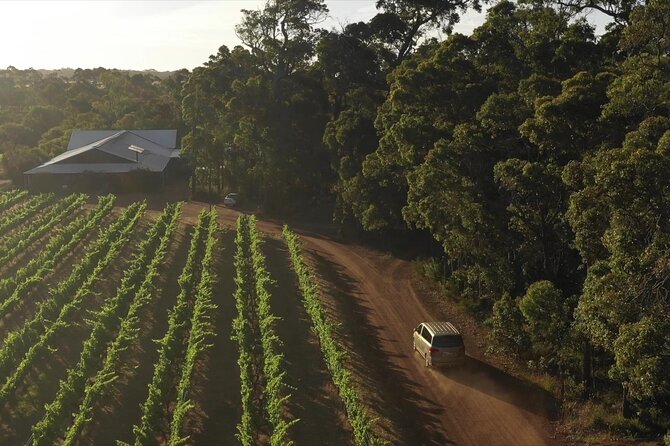 Secret Delights: Curated Wine, Coffee & Forest Experience - Price and logistics: what $120 buys you