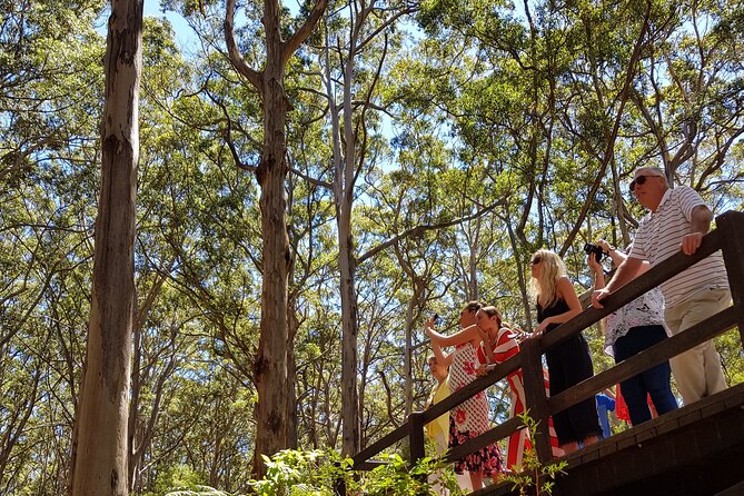 Secret Delights: Curated Wine, Coffee & Forest Experience - Small-group feel, big-guide energy