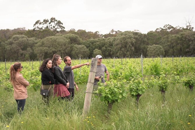 Secret Delights: Curated Wine, Coffee & Forest Experience - Coffee roasting and tasting at a local roastery