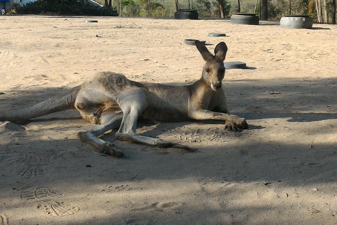 Self Guided Agnes to 1770 Scooter Hire - Planning Your Loop: Beaches, Back Streets, and Wildlife Moments