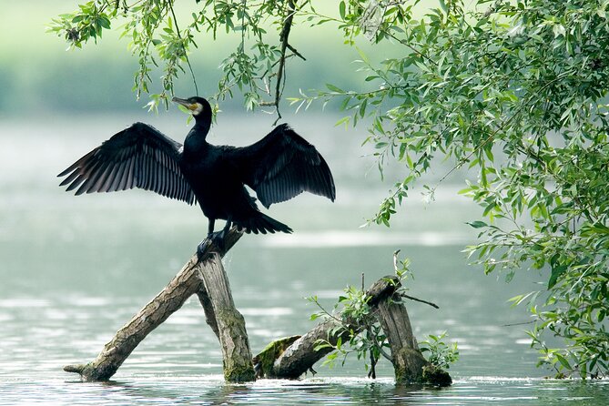 Serenity Cruise to Australia's Everglades - Drinks and onboard comfort: beer or bubbles, plus a relaxed mood