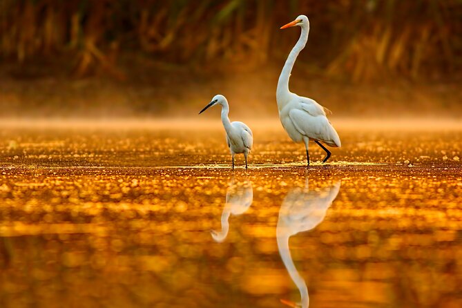 Serenity Cruise to Australia's Everglades - Photography tips for mirrored water that actually looks like a mirror