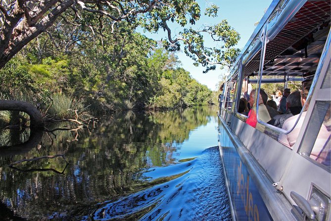 Serenity Cruise to Australia's Everglades - Serenity Cruise price: what $67.42 covers and why it feels fair