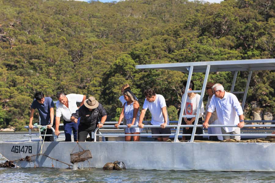Shell to Showroom - Sydney's only Pearl Farm Experience - Broken Bay Pearl Farm visit: what “only a short drive” really means