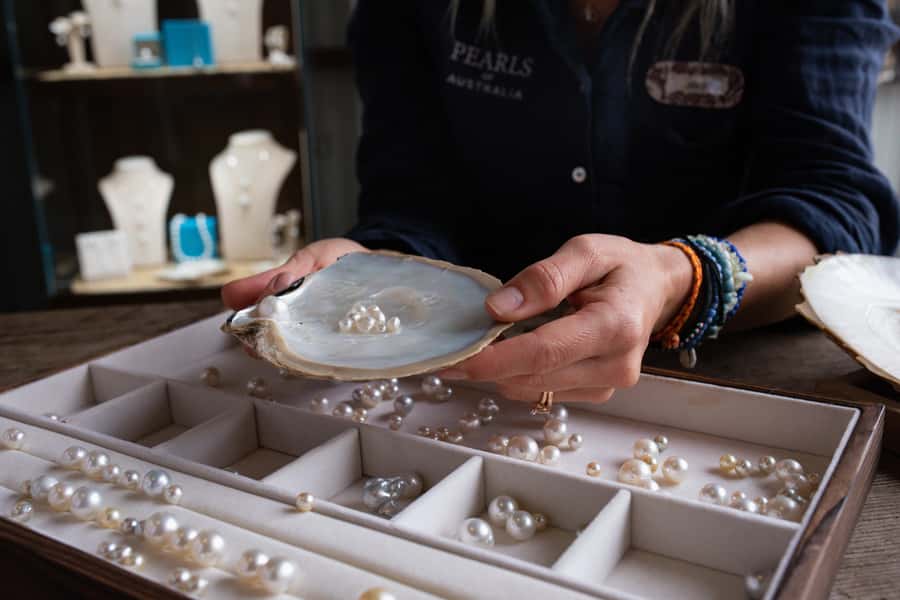 Shell to Showroom - Sydney's only Pearl Farm Experience - Hawkesbury River cruise: oysters in their real setting