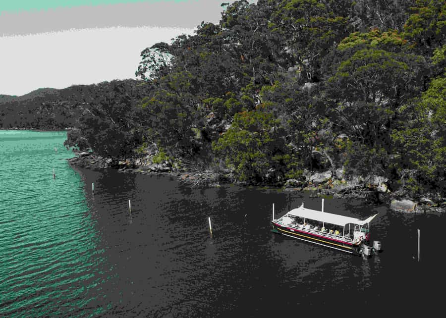 Shell to Showroom - Sydney's only Pearl Farm Experience - What you learn about Australian pearls and pearling, in plain terms