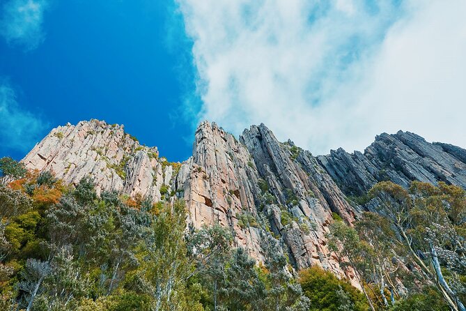 Shore Excursion: Hobart Wanderer - Cruise-Ship Friendly, One-Day Tasmania Power Tour