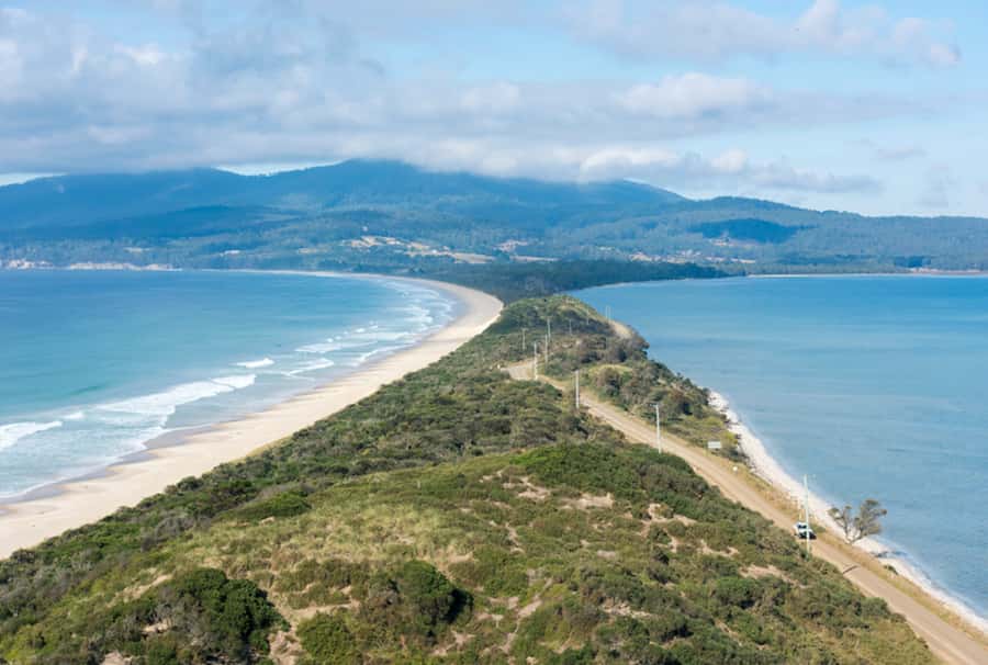 Signature Bruny Island Tour - Hobart & SE Tasmania - Honey and cheese stops that are actually worth your stomach space