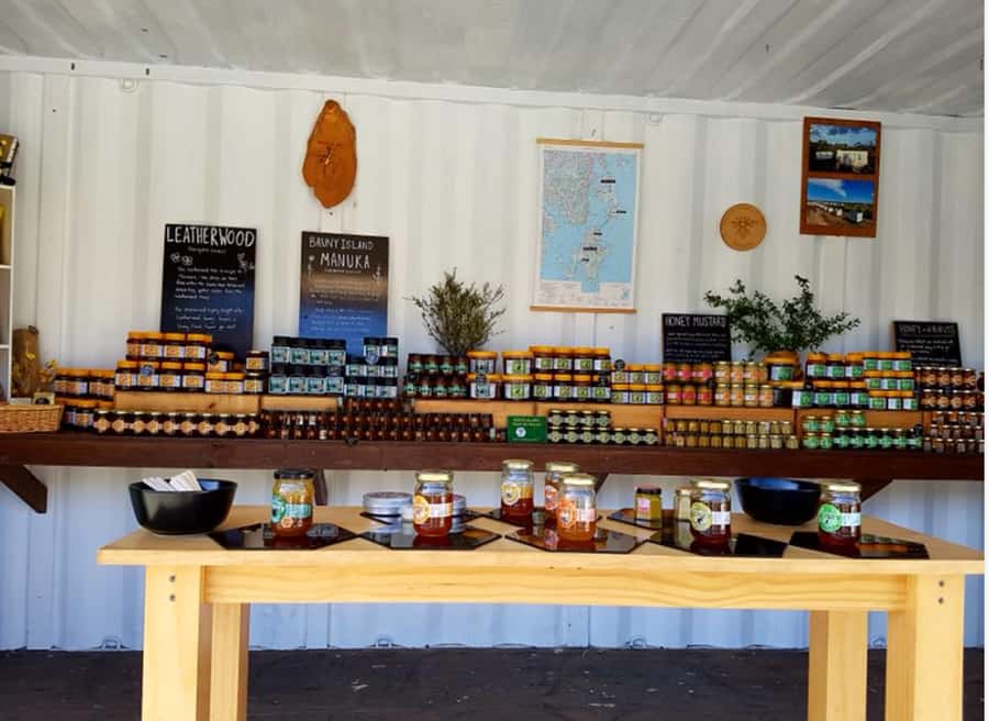 Signature Bruny Island Tour - Hobart & SE Tasmania - Price and value for $254: what you actually get for your money