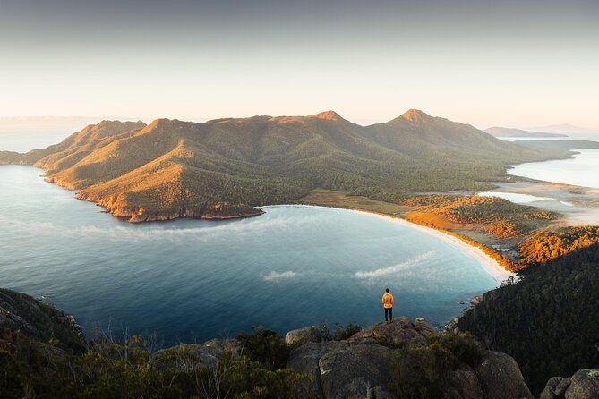 Signature Wine Tour - Hobart & SE Tasmania - Your tasting rhythm: 4 vineyard stops with fixed, un-rushed time