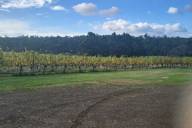 Signature Wine Tour - Hobart & SE Tasmania - Who this tour suits best (and who should skip it)