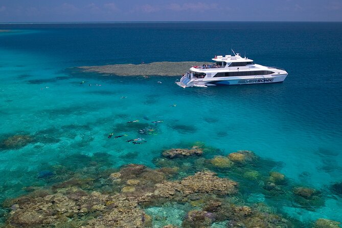 Silversonic Outer Great Barrier Reef Cruise from Port Douglas - Port Douglas to the Outer Reef: A Fast Start That Matters